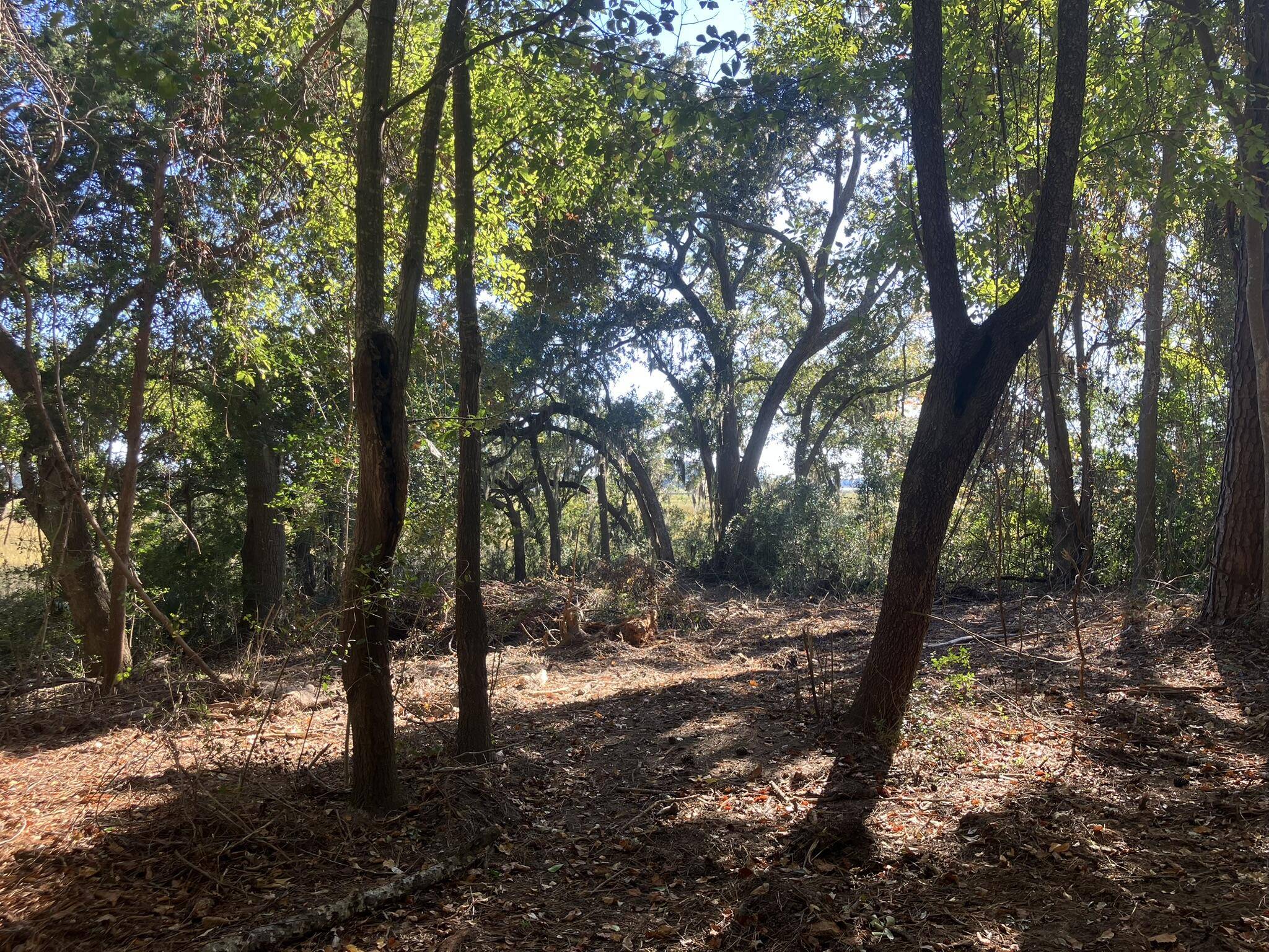 Seabrook, SC 29940,481 Paige Point