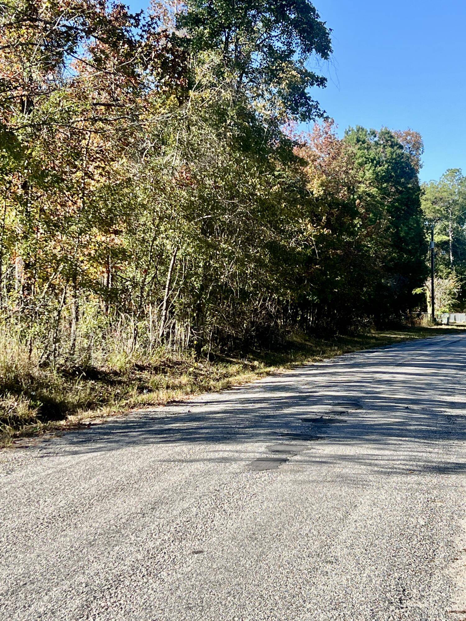 Cross, SC 29436,00 Saint Julian Drive