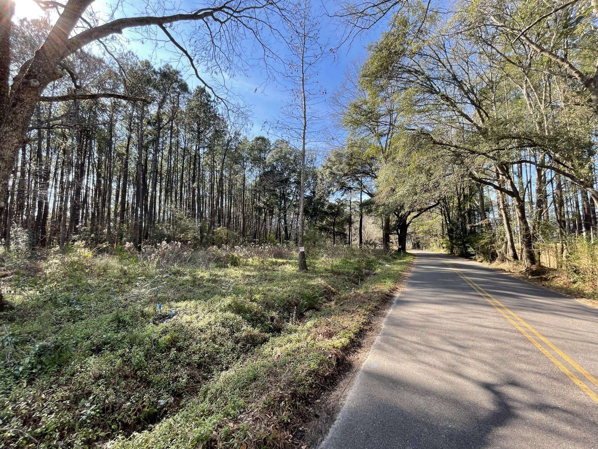 Summerville, SC 29483,137 Droze Rd