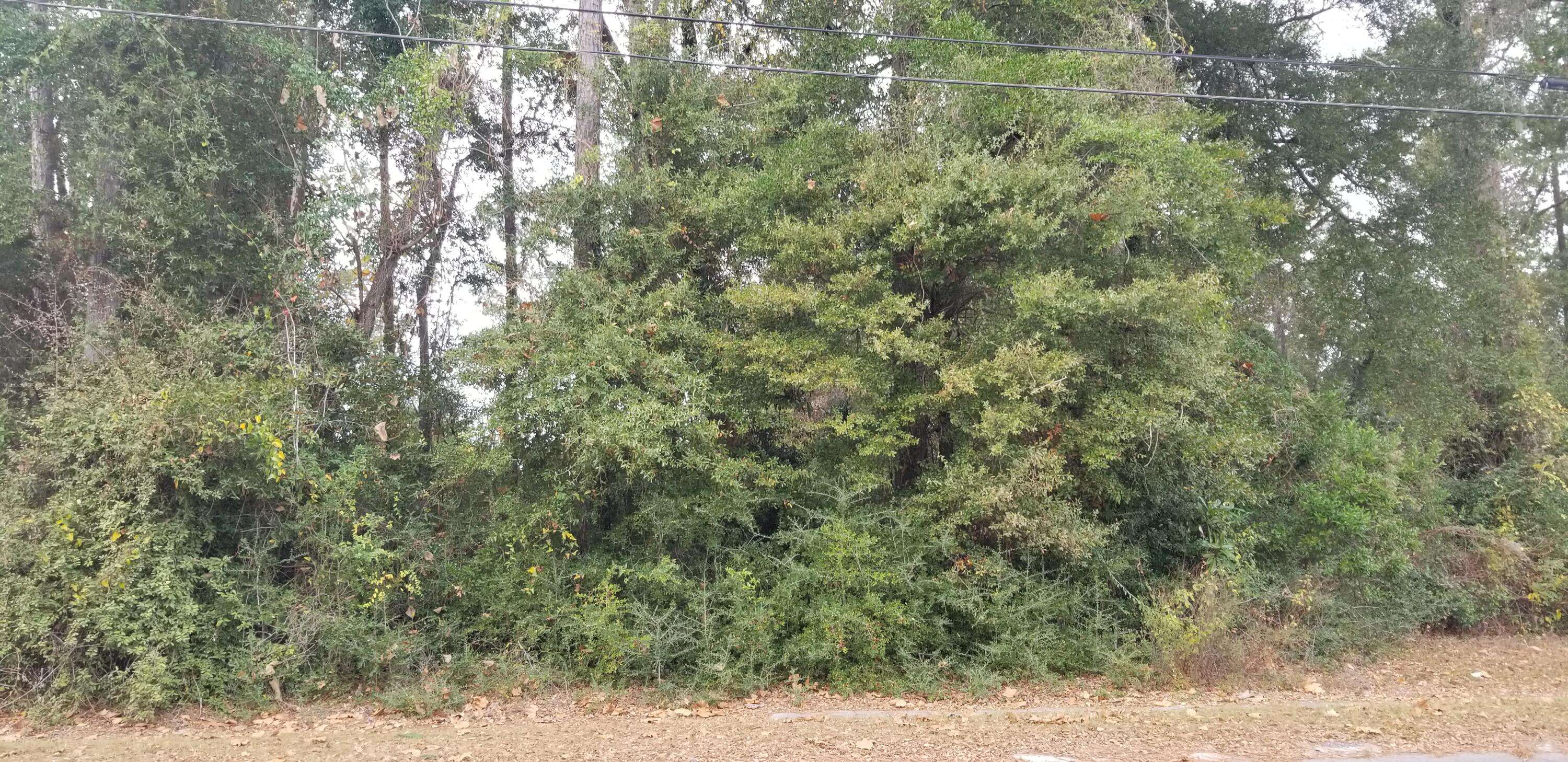 Walterboro, SC 29488,00000 N Lemacks St