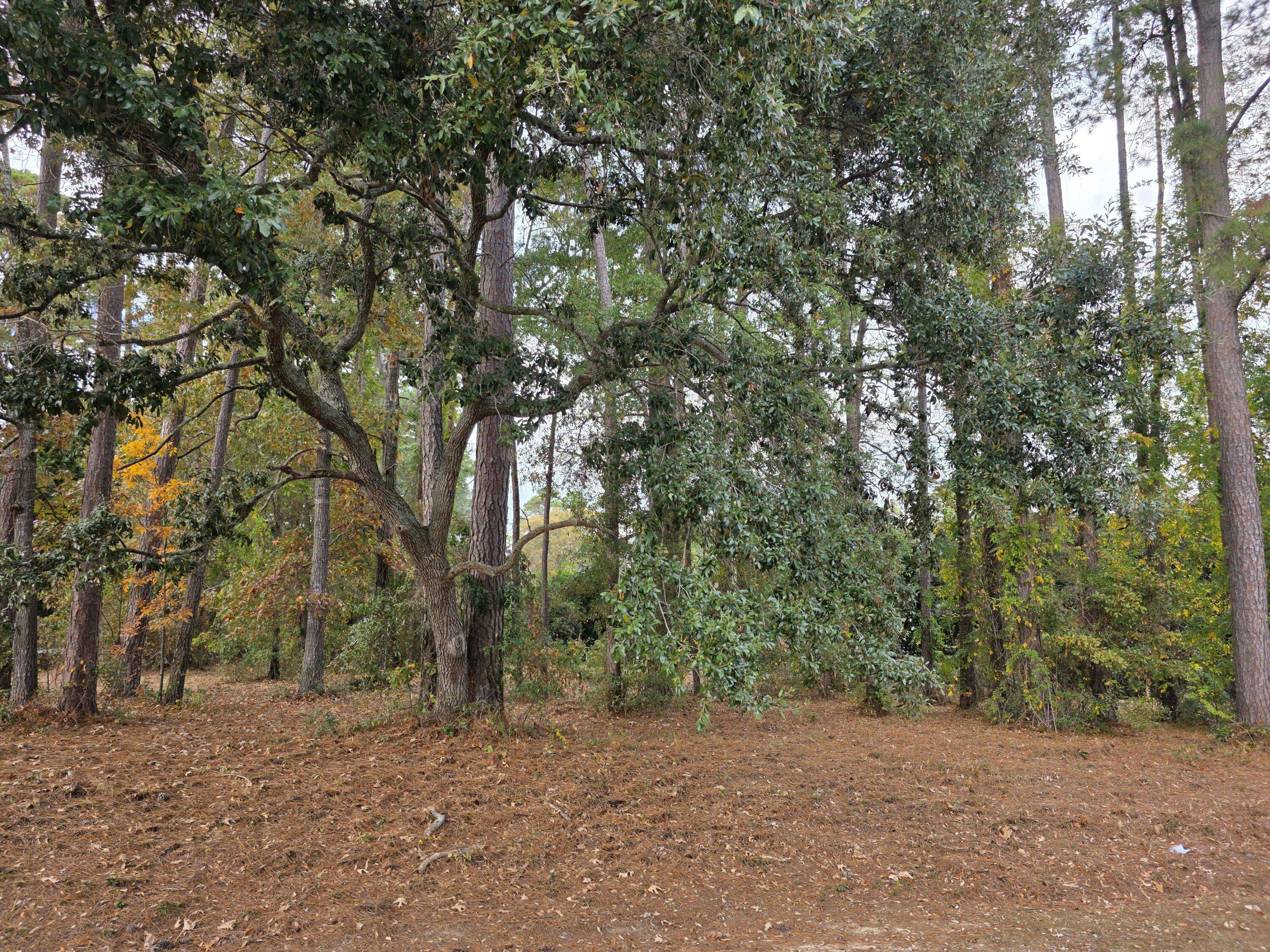 Santee, SC 29142,Address not disclosed