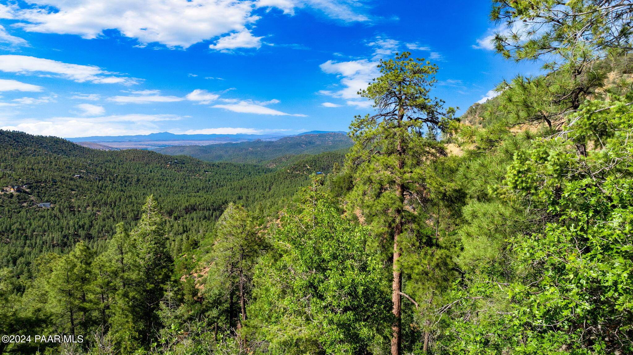 Prescott, AZ 86303,71xx S Big Bug Mesa RD