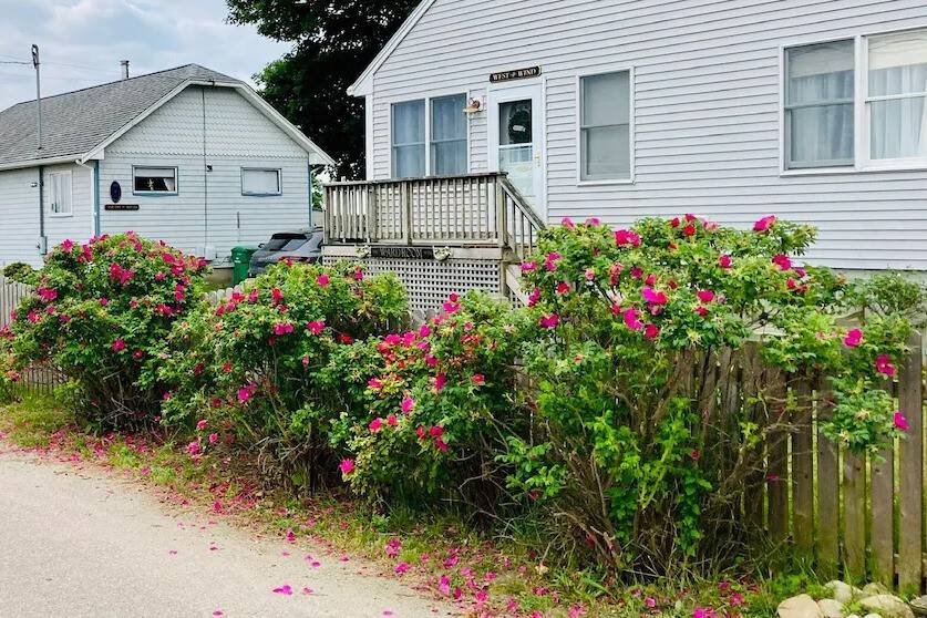South Kingstown, RI 02879,392 Gooseberry RD