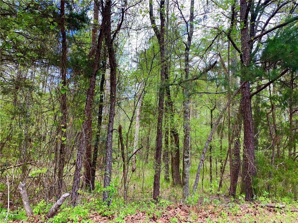 Hot Springs, AR 71909,Jabali Way