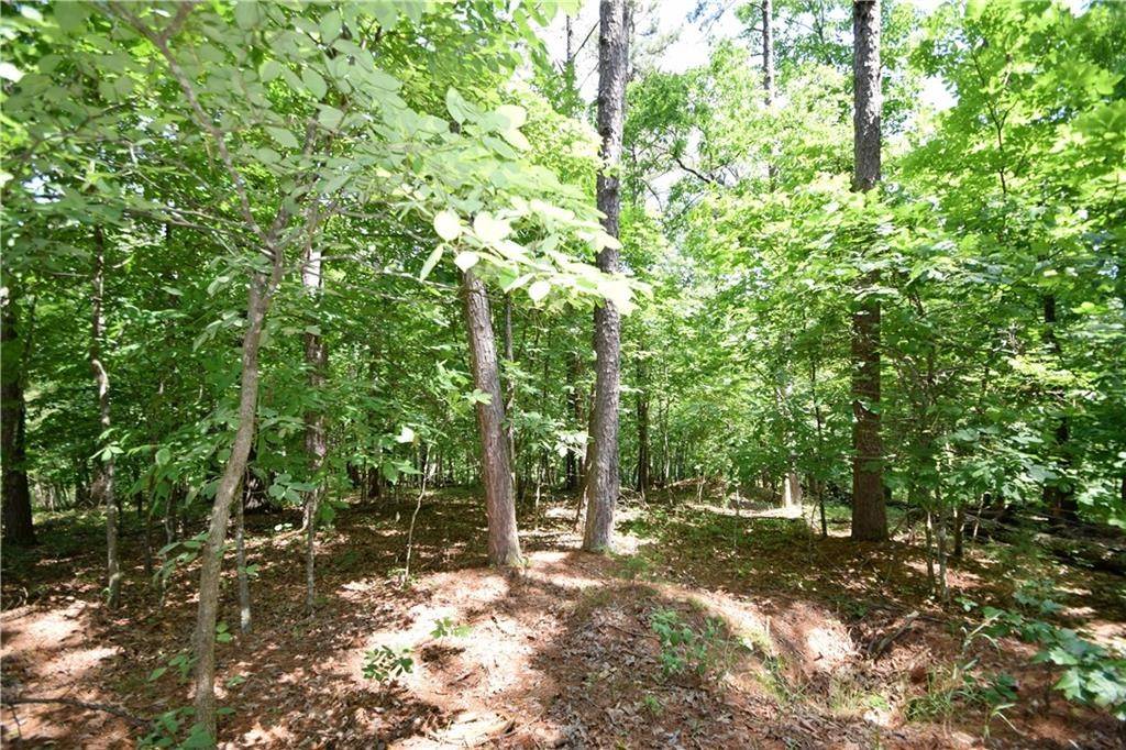 Rogers, AR 72756,Lot 30,31 Fallen Pine Ln