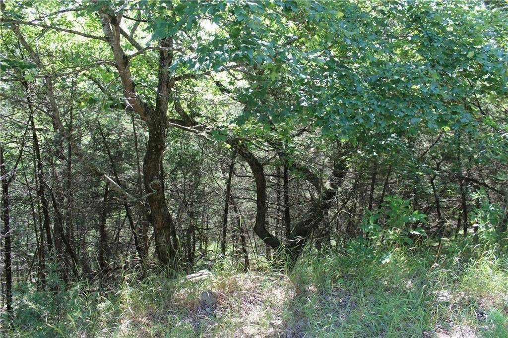 Holiday Island, AR 72631,4 Beaver Cir #115
