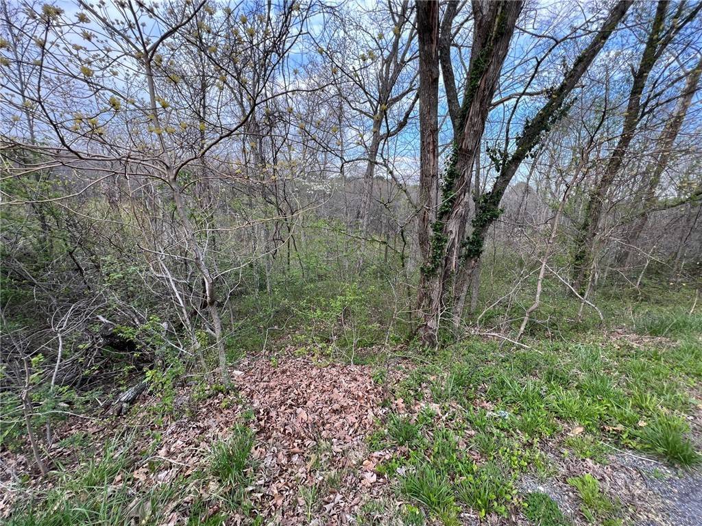 Bella Vista, AR 72715,0 Dunkeld Dr