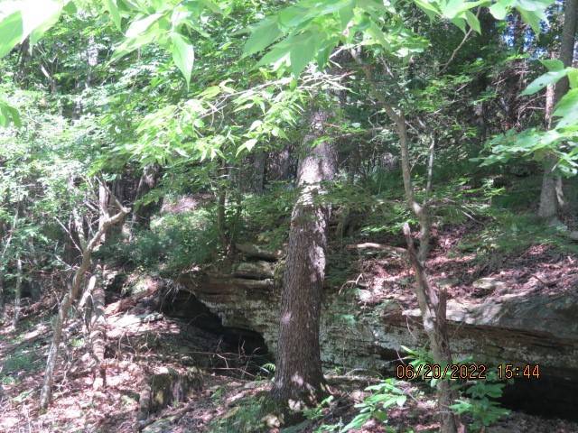 West Fork, AR 72774,0000 Highway 170