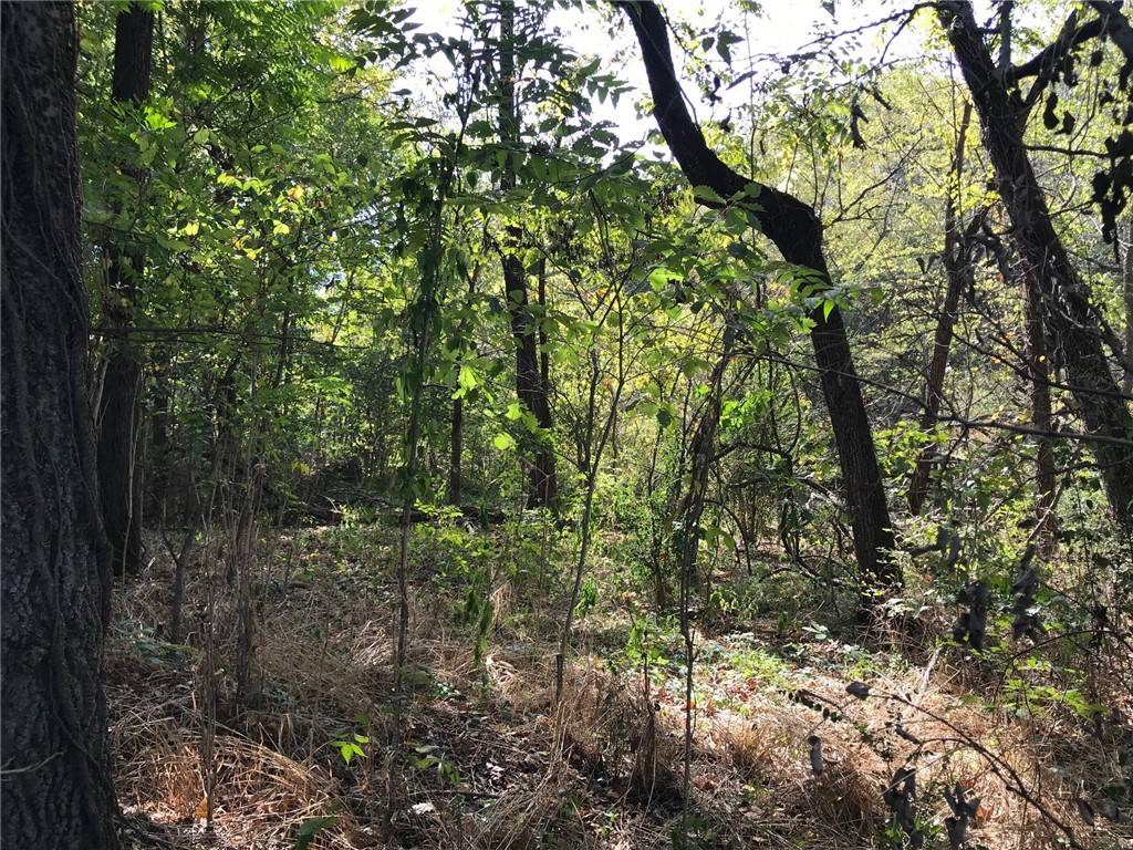 Sulphur Springs, AR 72768,TBD Flickinger St