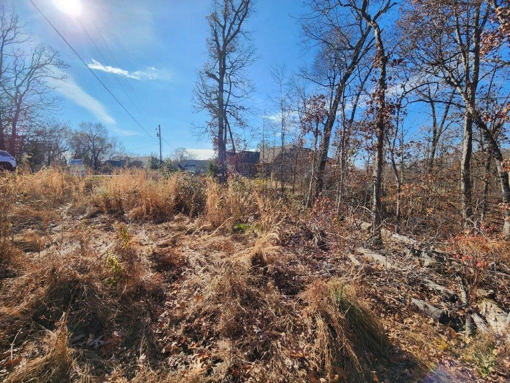 Bella Vista, AR 72715,Lot 7 Worth Pl