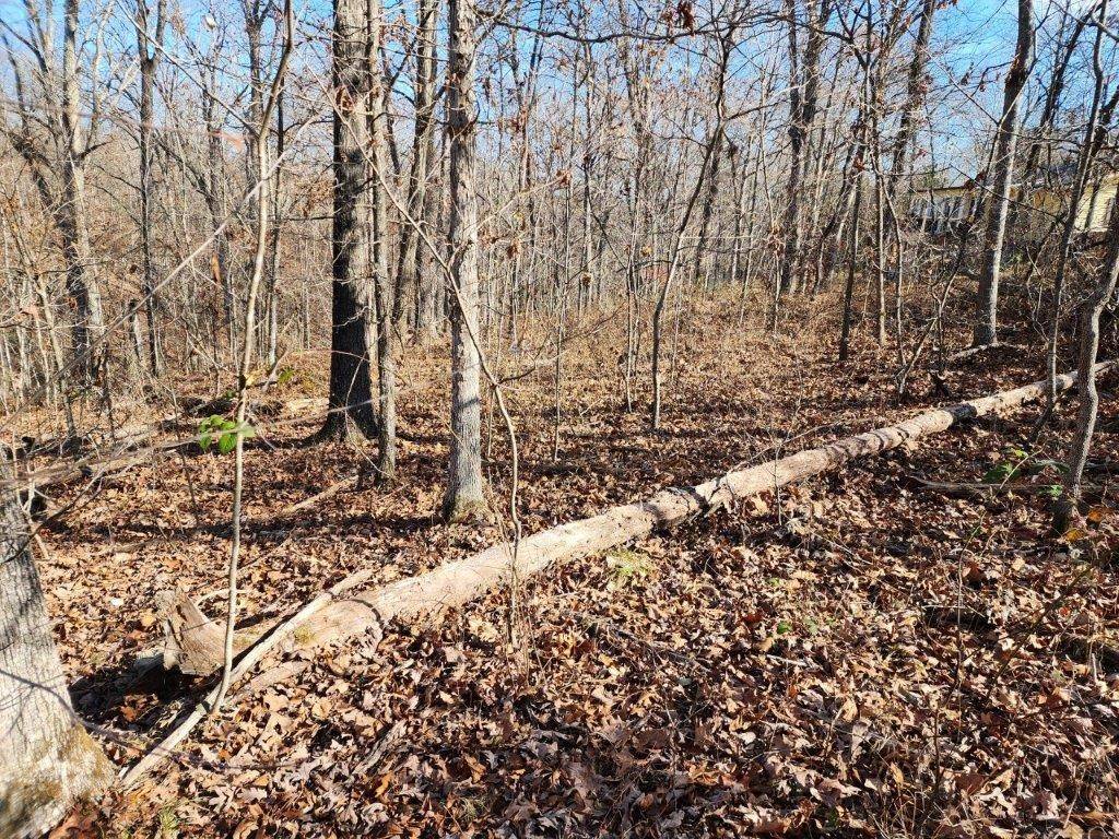 Bella Vista, AR 72715,Lot 2 Stoneykirk Dr