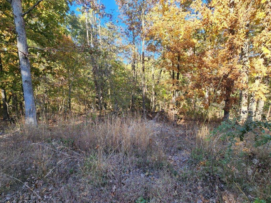 Bella Vista, AR 72715,Lot 2 Stoneykirk Dr