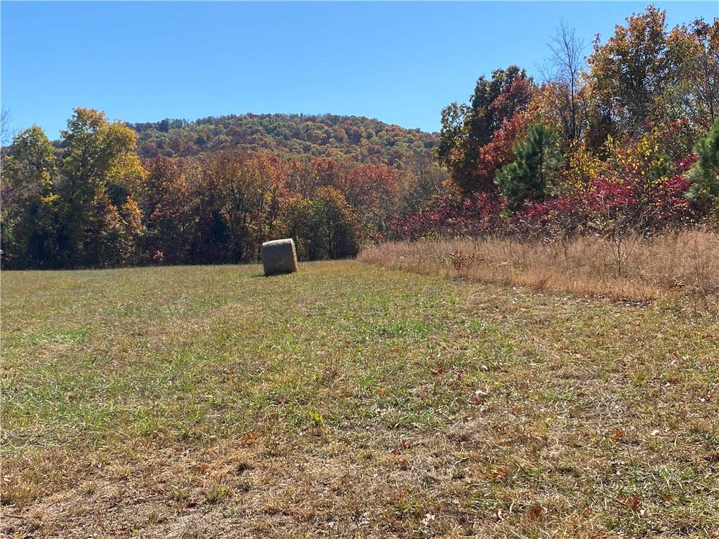 Harrison, AR 72601,Creel Rd