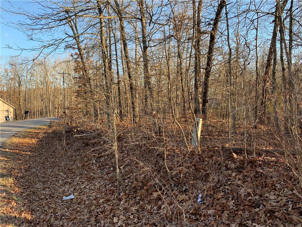 Bella Vista, AR 72714,Lot 7 Woodbridge Dr