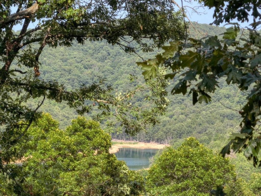 Eureka Springs, AR 72631,Lakeview Dr