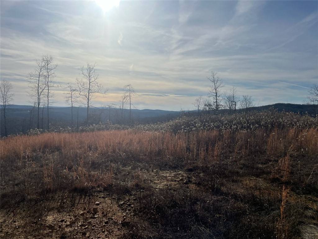 Clinton, AR 72031,000 Dabney