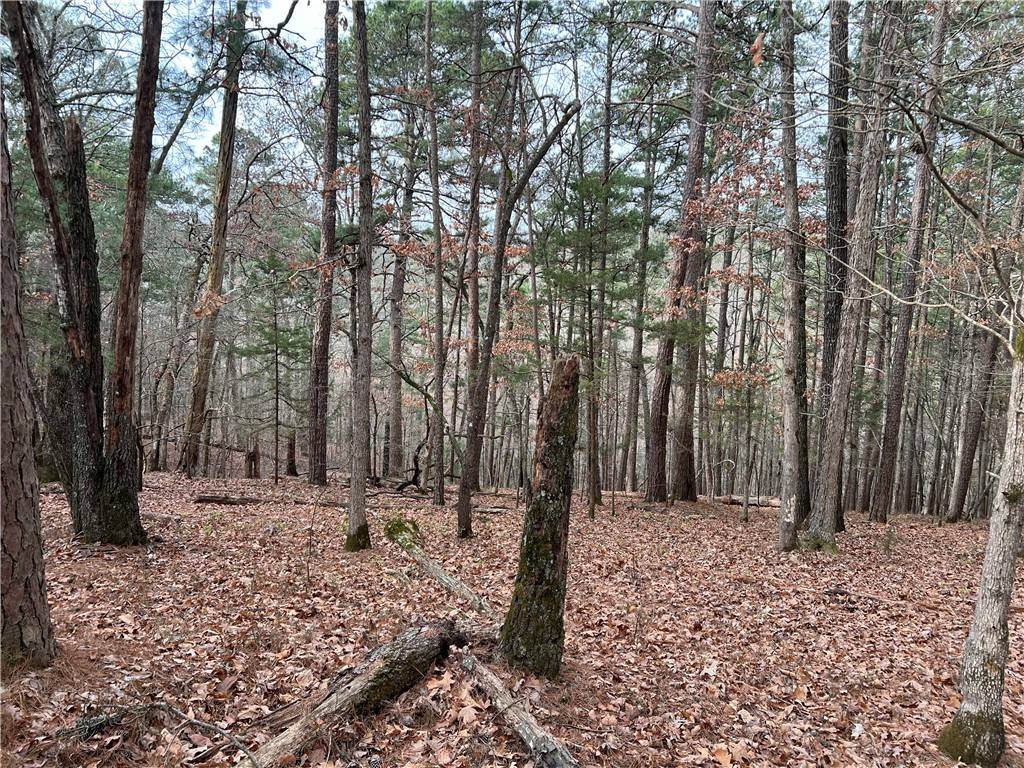 Rogers, AR 72756,Elzey's Rd