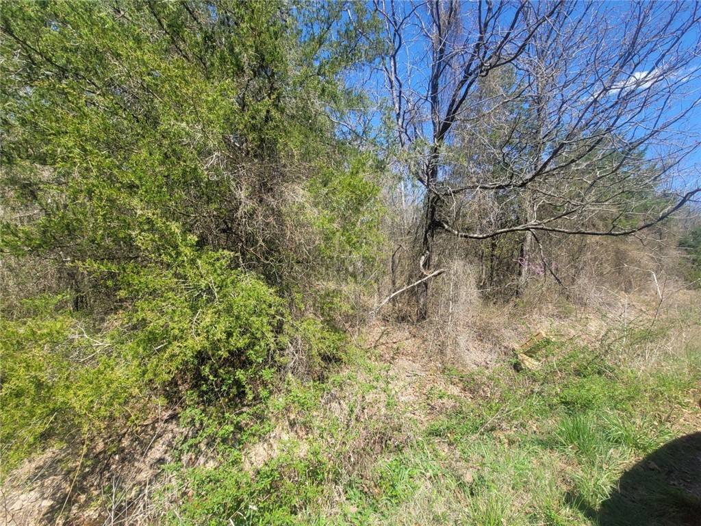 Hartford, AR 72938,TBD Diamondback Ln