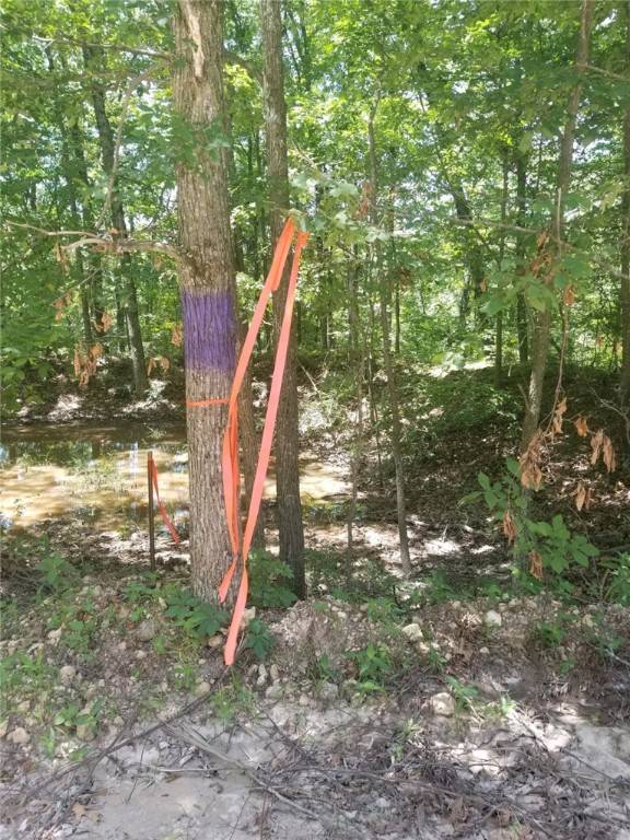 Eureka Springs, AR 72632-,County Road 102