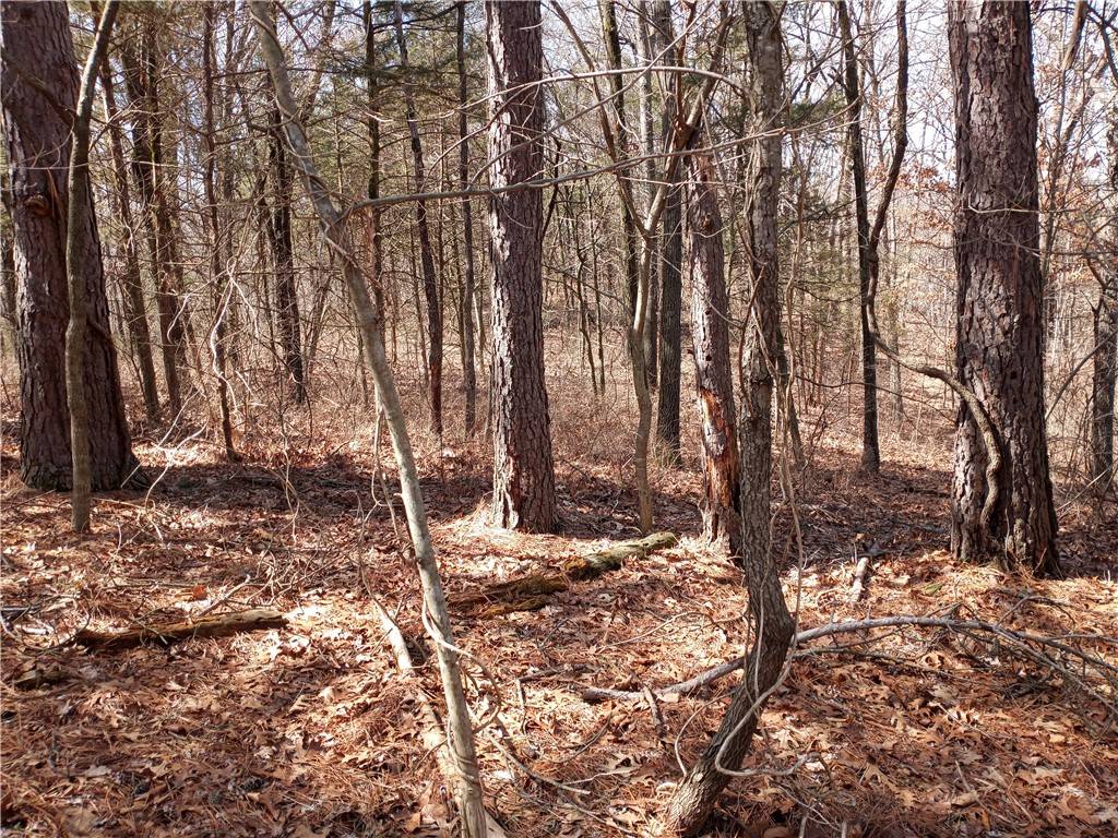 Seligman, MO 65745,7509 Little St