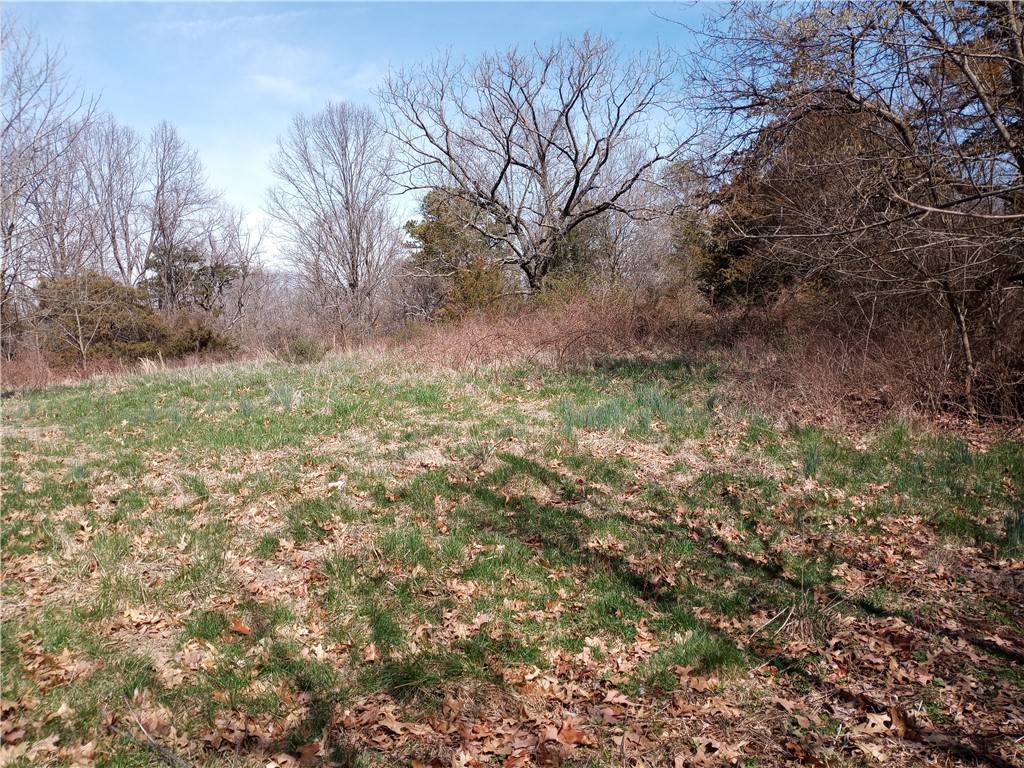 Seligman, MO 65745,7509 Little St