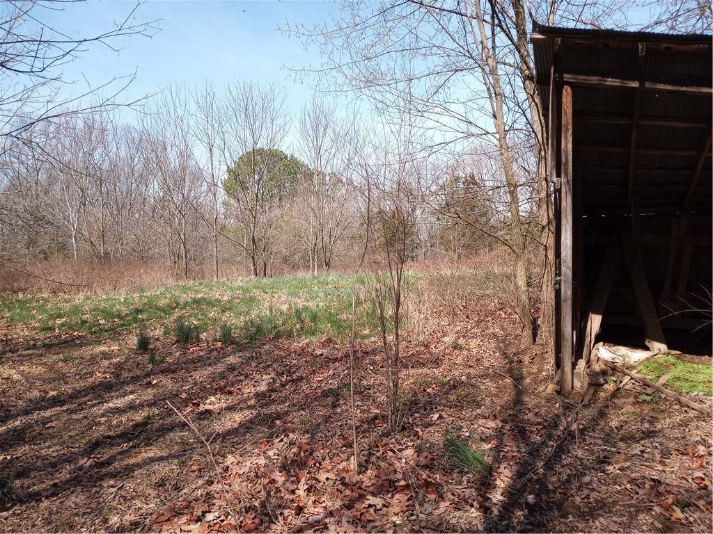 Seligman, MO 65745,7509 Little St