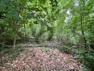 Bella Vista, AR 72715,Lots 8 & 9 E Ciemny Ln