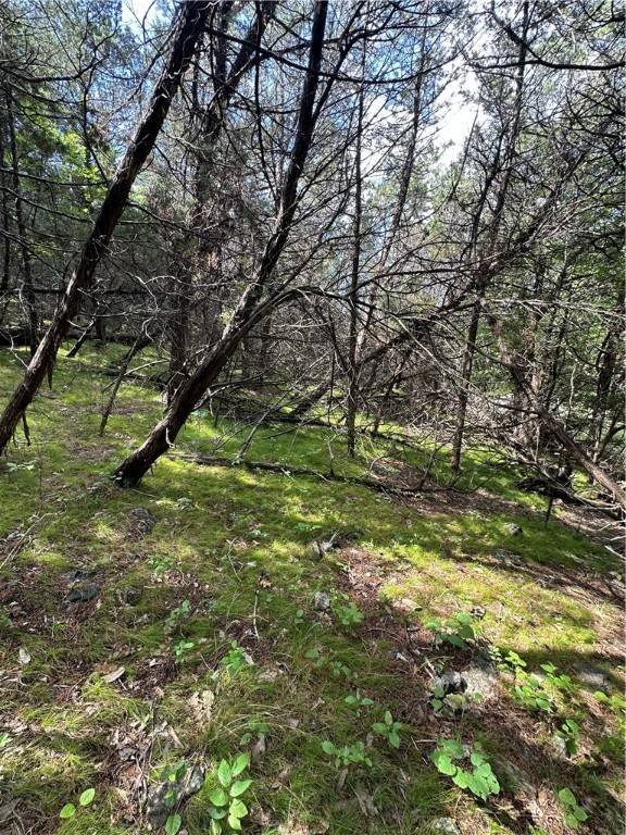 Holiday Island, AR 72631,20 Lakeview Ln