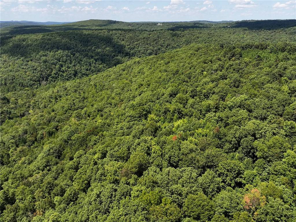 Deer, AR 72628,TBD 8872