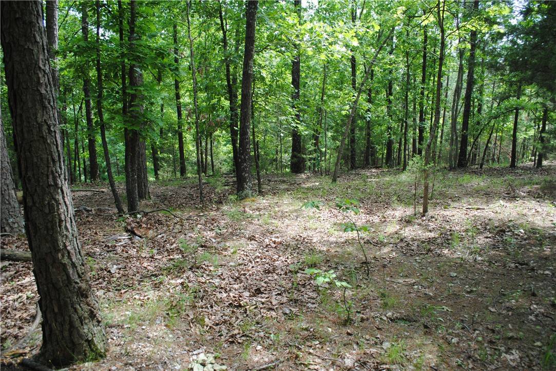 Rogers, AR 72756,Lots 76 & 77 Robin Rd