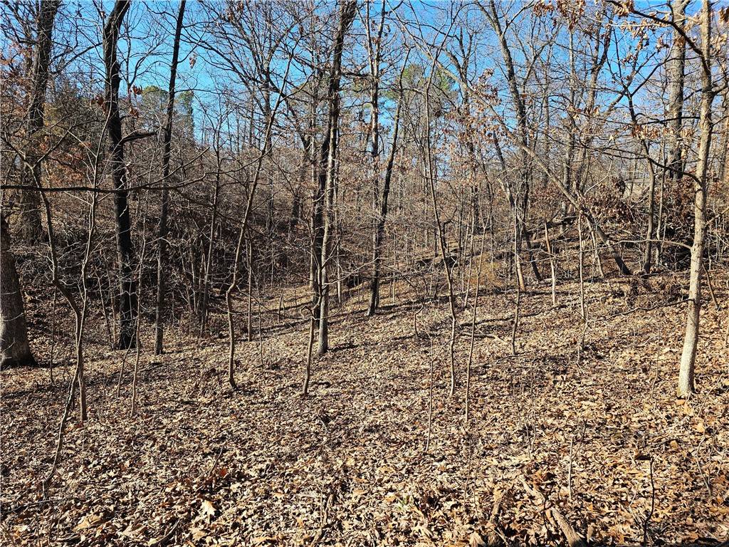 Bella Vista, AR 72715,TBD Baltasound Ln