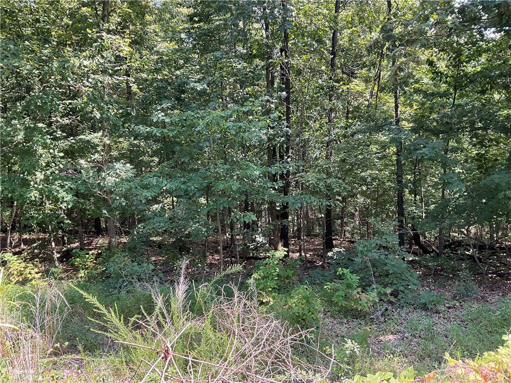 Bella Vista, AR 72714,TBD Llanon Dr