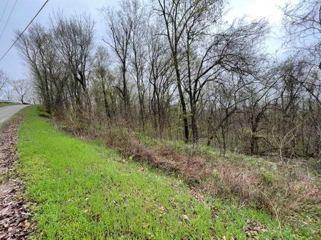Holiday Island, AR 72631,24 Skyview Ln
