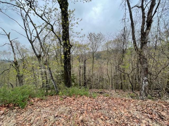 Holiday Island, AR 72631,20 Serenity Ln