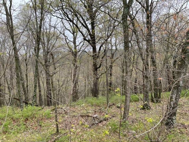Holiday Island, AR 72631,12 Serenity Ln