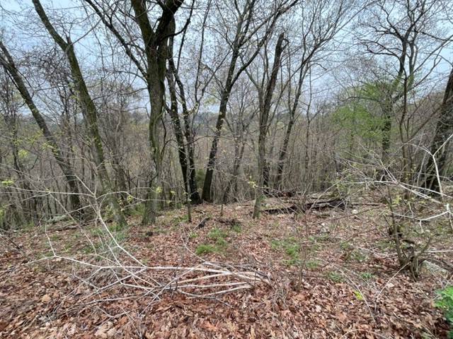 Holiday Island, AR 72631,18 Serenity Ln