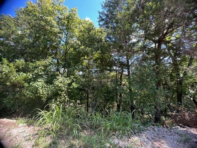 Holiday Island, AR 72631,24 Beaver Dr