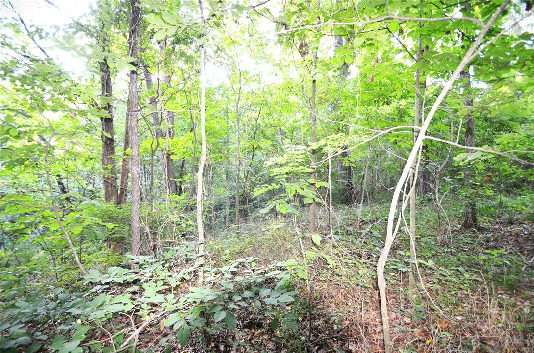 Fayetteville, AR 72703,17746 Driftwood