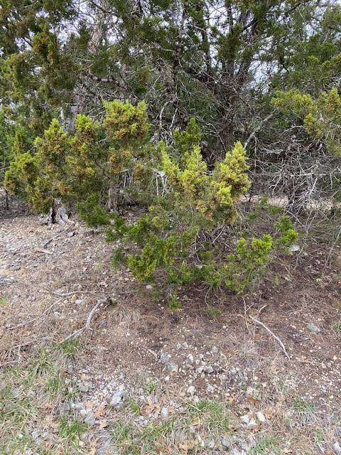 Holiday Island, AR 72631,50 Deer Run Dr