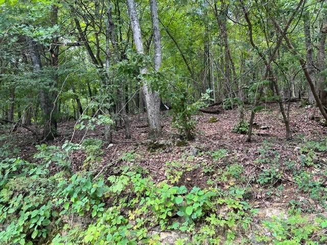 Holiday Island, AR 72631,80 Stateline Dr