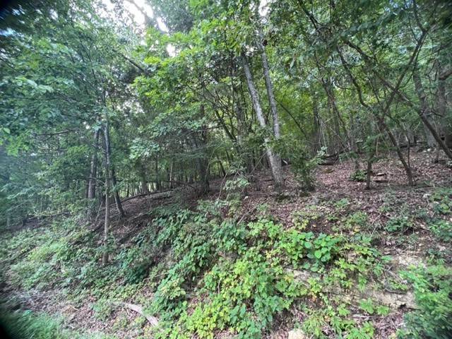 Holiday Island, AR 72631,80 Stateline Dr