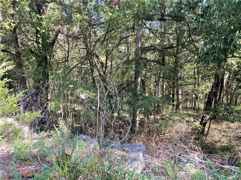Holiday Island, AR 72631,143 Table Rock Dr