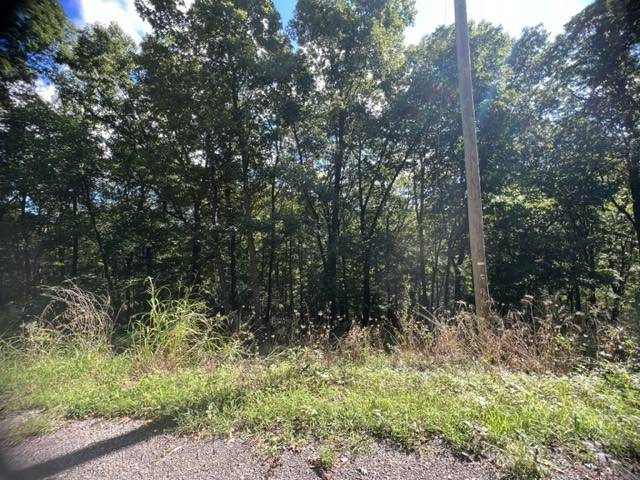 Holiday Island, AR 72631,27 Wildcat Ln
