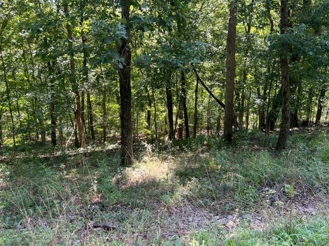 Holiday Island, AR 72631,33 Wildcat Ln