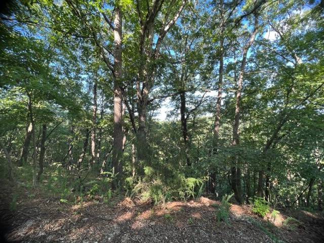 Holiday Island, AR 72631,31 Thunderbird Dr