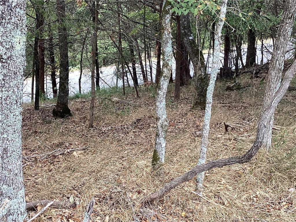 Garfield, AR 72732,Lot 93 Oak Leaf Cir