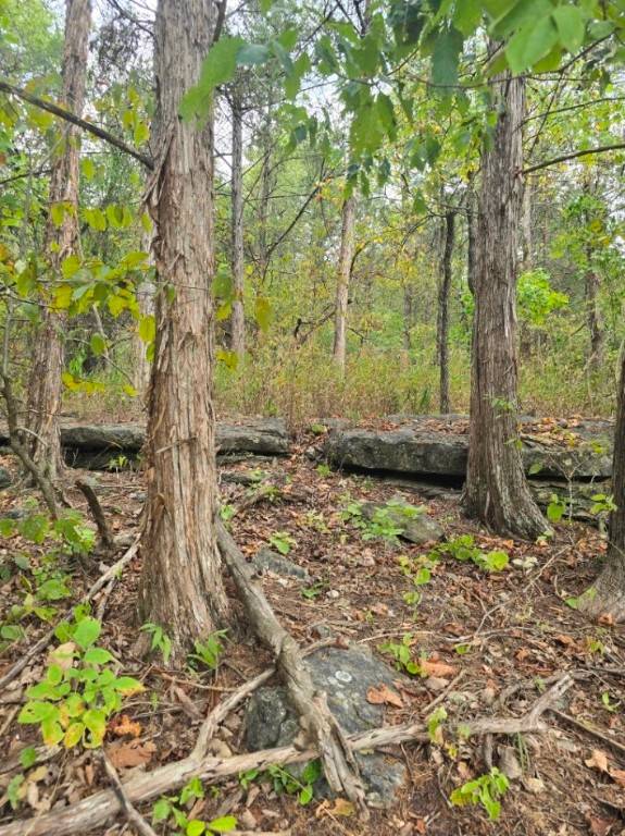 Holiday Island, AR 72631,18 Hillside Dr