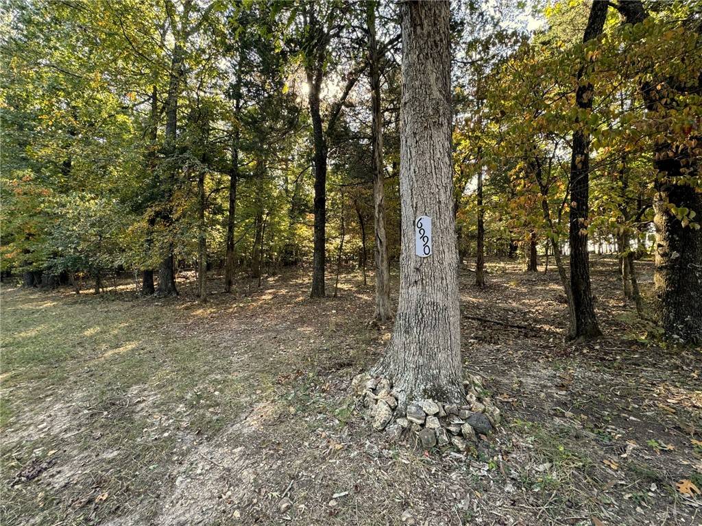 Mountain Home, AR 72653,6990 Promise Land Rd