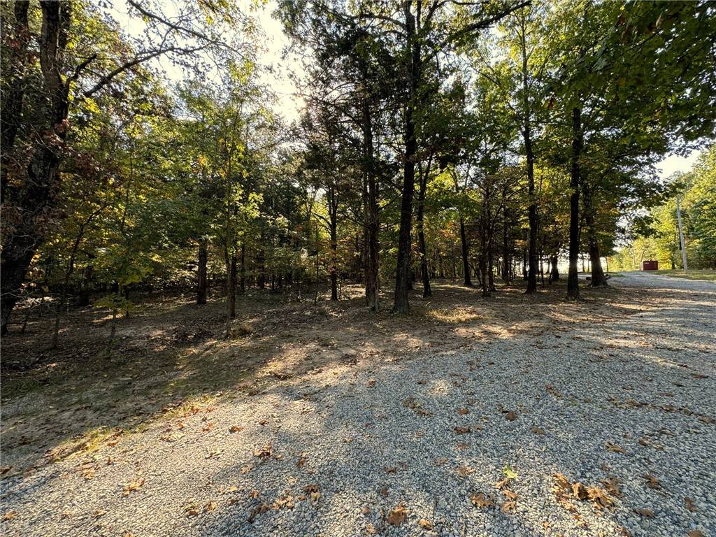 Mountain Home, AR 72653,6990 Promise Land Rd