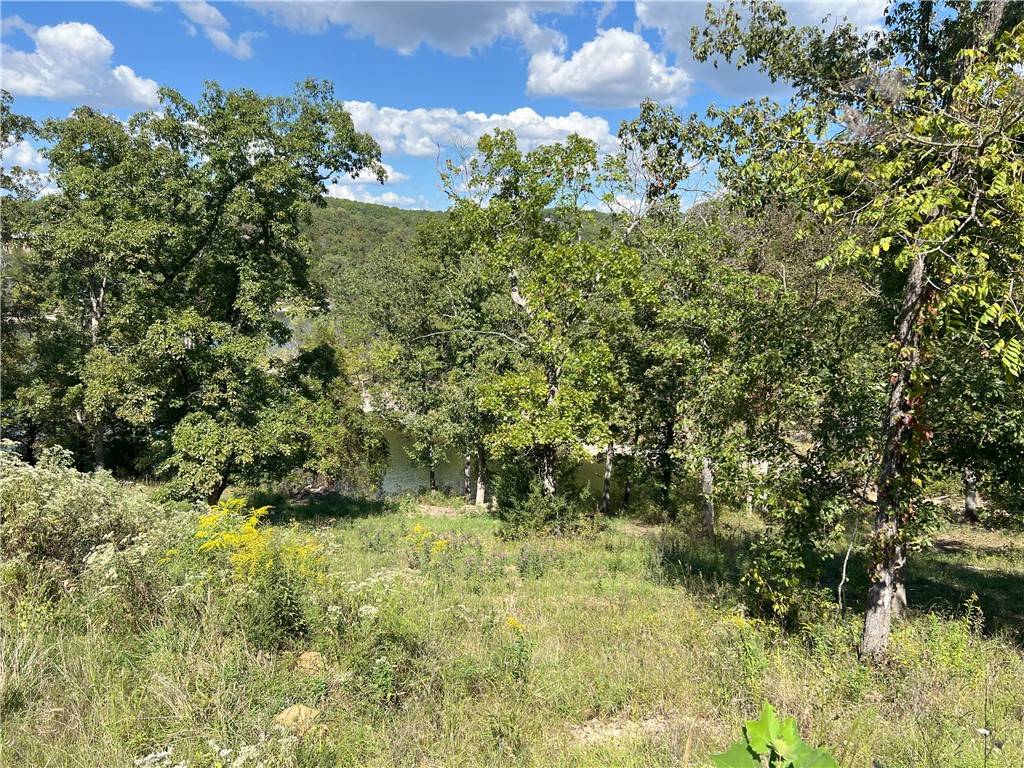 Omaha, AR 72662,13677 Ledge Rock Ln #Lot 10